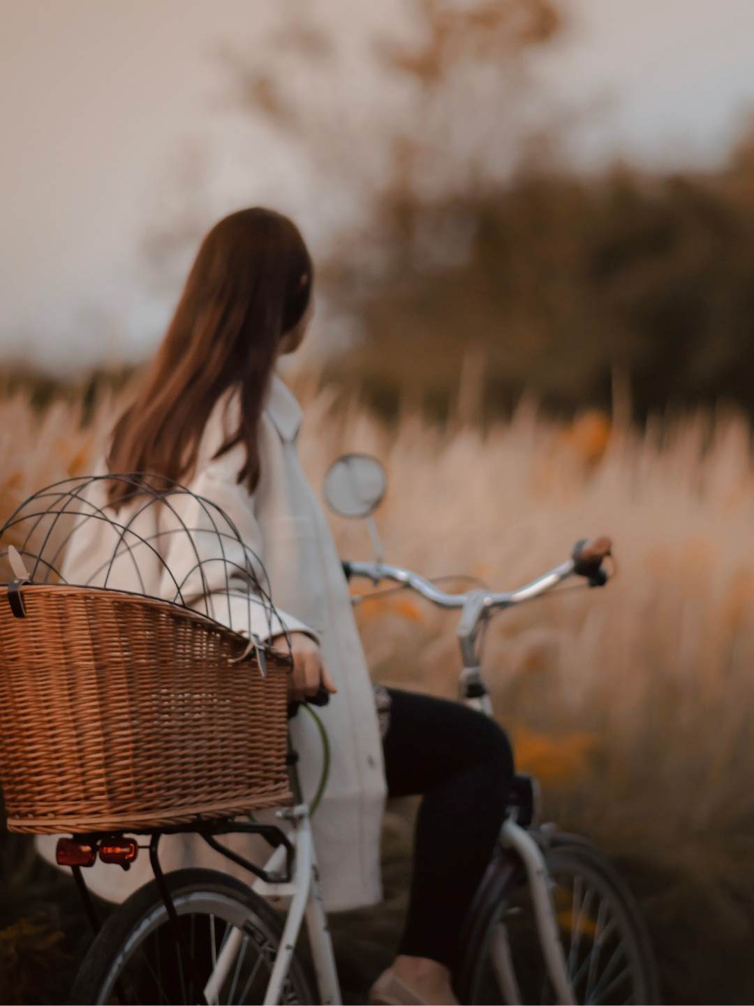 Image of woman sitting on bicycle, observing the road in front of her. She is wearing a jacket, and has a basket on the back of the bike. It is autumn. 